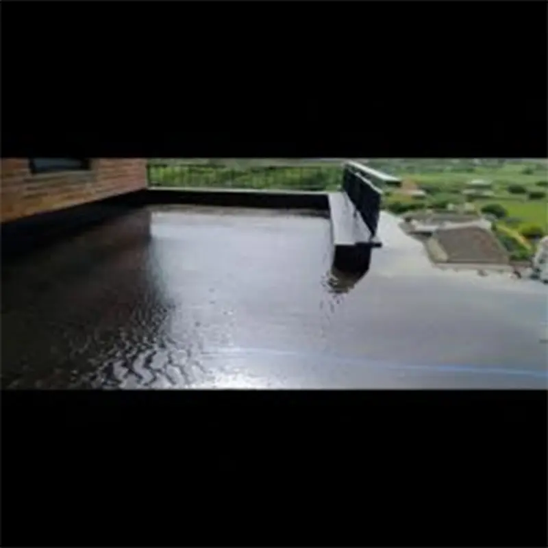 ꯍꯥꯏ ꯏꯂꯥꯁ꯭ꯇꯤꯁꯤꯇꯤ ꯂꯤꯛꯌꯨꯏꯗ ꯀꯣꯏꯜ ꯃꯦꯇꯔꯤꯑꯦꯜ.jpg