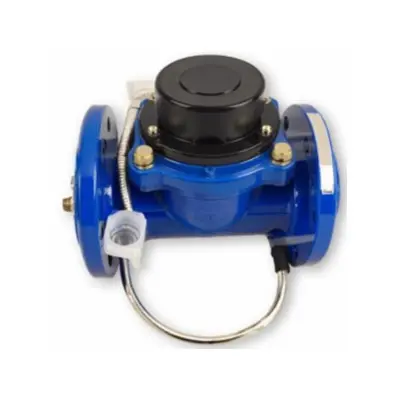 Large aperture photoelectric direct reading remote water meter (2)