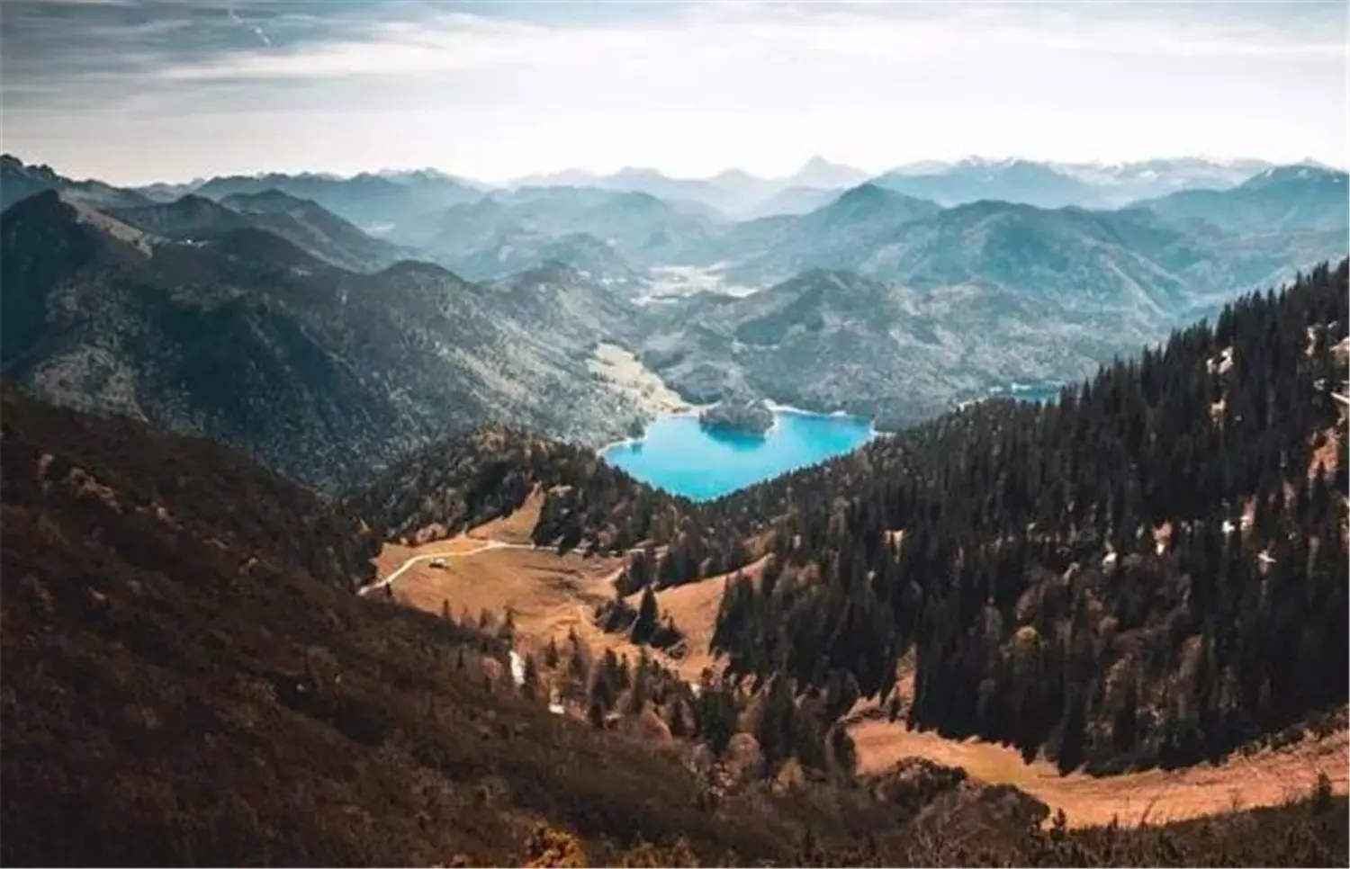 ꯶꯰꯳.jpgꯗꯥ ꯐꯣꯉꯈ꯭ꯔꯦ꯫