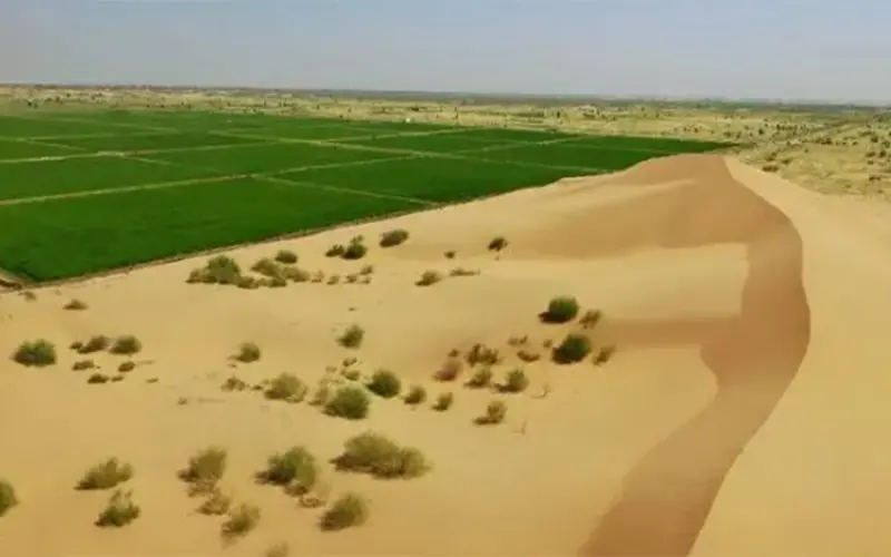 ꯵꯳% ꯑꯣꯏꯔꯦ! ꯆꯥꯏꯅꯥꯒꯤ ꯁꯦꯇꯦꯂꯥꯏꯠ ꯚꯤꯎ, ꯃꯔꯨꯚꯨꯃꯤꯒꯤ ꯒ꯭ꯔꯤꯟ ꯏꯐꯦꯛꯇ ꯑꯁꯤ ꯁꯤꯡꯊꯥꯅꯤꯡꯉꯥꯏ ꯑꯣꯏ, ꯑꯥꯔꯠ...